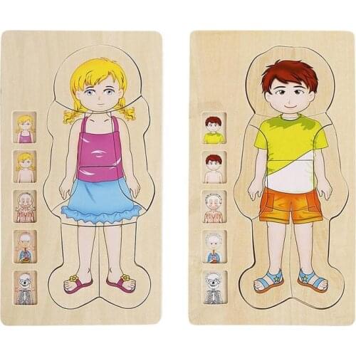 Wooden Human Body Puzzles Multi-Layer tructure Toys Children Early Intelligent Learning Educational Body Cognition Baby Puzzles