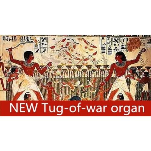 NEW Takagism game Tug of war props Rope pulling mechanism Popular props to attract players real life room escape prop