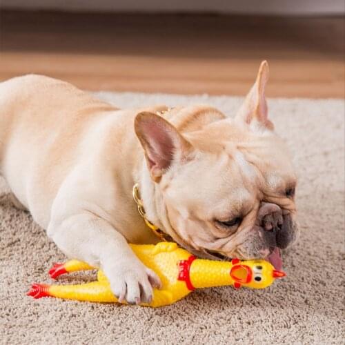 Screaming Chicken Dog Squeak Toy Pet Chew Teeth Extrusion Toy Puppy Teething Supplies Dog Supplies Pet Accessories Kids Stuff