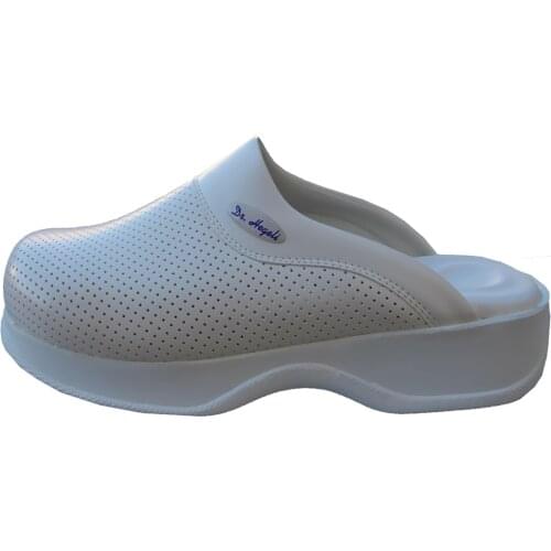 Dr.Hegeli Men's Slates