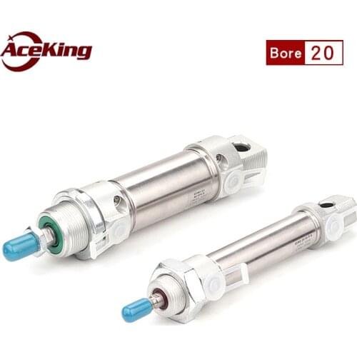 DSNU Stainless steel mini cylinder DSNU20-10/15/20/25/30/35/40/50/60/70/80/100/125/150/175/200/250-PPV-A DSNU20-10 DSNU20-15
