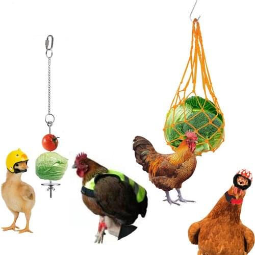 Chicken Decoration Protection Feed Props Helmet Bag Rod Bird Hens Small Pet Supplies Accessories Animal Costumes Feeding Device