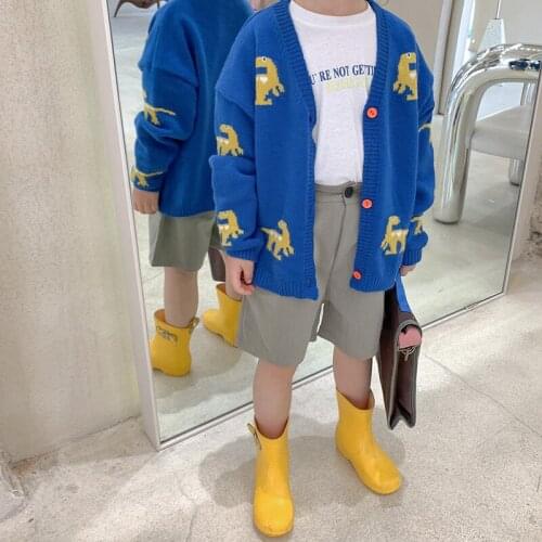 Dinosaur Spring Autumn Tops Boys Sweater Jacket Coat Kids Overcoat Outwear Teenager Children Clothes School Gift High Quality