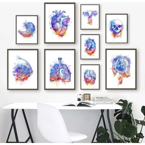 Colorful Anatomy Of Brain Heart Kidney Chest Nordic Poster And Canvas Printing Art Painting Doctors Office Wall Decoration