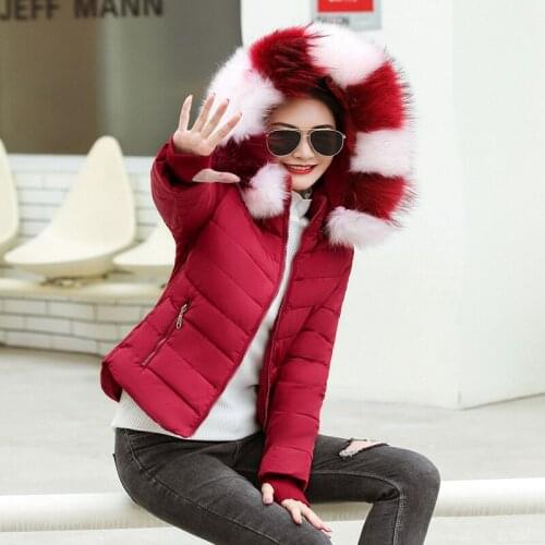 Autumn Winter Warm Jacket Female 2021 Fashion Winter Coat Women False Fox Collar Down Cotton Parkas Female Coat