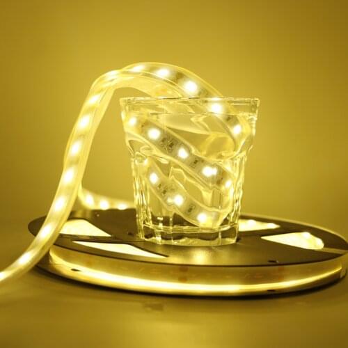 Waterproof in Silicone Tube RGB LED Strip Light RGBW RGBWW LED Tape 50cm 1m-5m Outdoor Decoration Car DRL Under water Pool