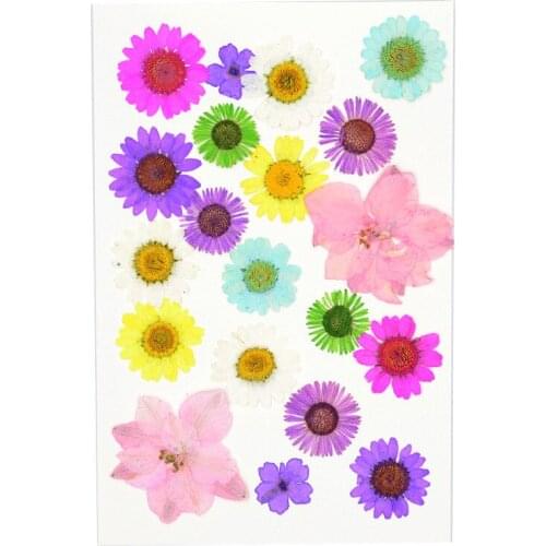 20pcs 1 pack Dried flower material package embossed mixed plant real flower DIY glue phone case pressed flower