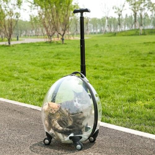 2021 Pet Cat Bag Bubble Box Portable Portable Transparent Pet Trolley Bag Large Breathable Space Capsule Large Capacity