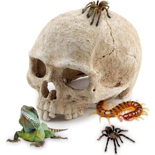 HKML Equipment For Aquariums