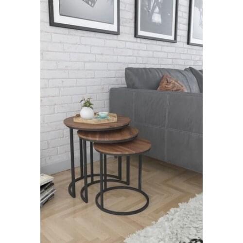 Modern Evdemo Sea Membrane Plating 3 Pcs Zigon coffee table Black Walnut coffee table table basse