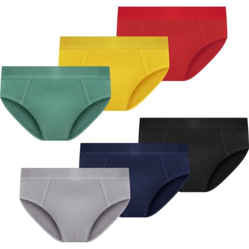 Sexy Underwear Low Waist Mesh Transparent Striped Mens Briefs Panties See Through Breathable Underpants Ropa Interior Masculina