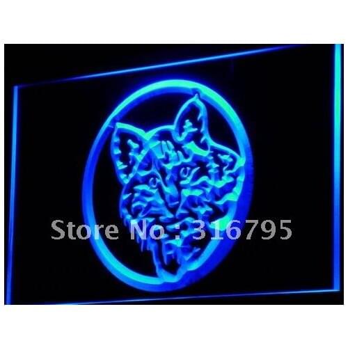 I698 Cat Kitty Pet Shop Display Decor LED Neon Light Light Signs On/Off Switch 20+ Colors 5 Sizes