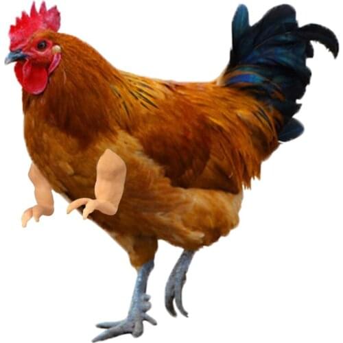 Chicken Arm Toy Chicken Forelimb Decoration Funny Spoof Gag Gift Chicken Arms Props For Pet Chicken Decorations Themed Party