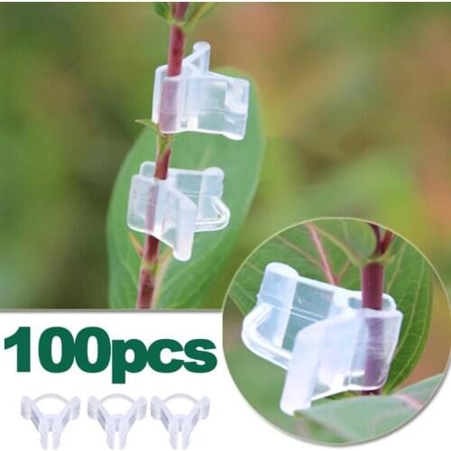 100Pcs Plastic Plant Grafting Clips Mini Transparent Tomato Plant Support Clamps Connecting Vine Seed Grafting Clamps Garden