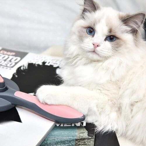 Pet Dog Hair Removal Combs Brush Fur Cleaning Brush With Telescopic Needle Head Grooming Cat Clean Tools Mascotas