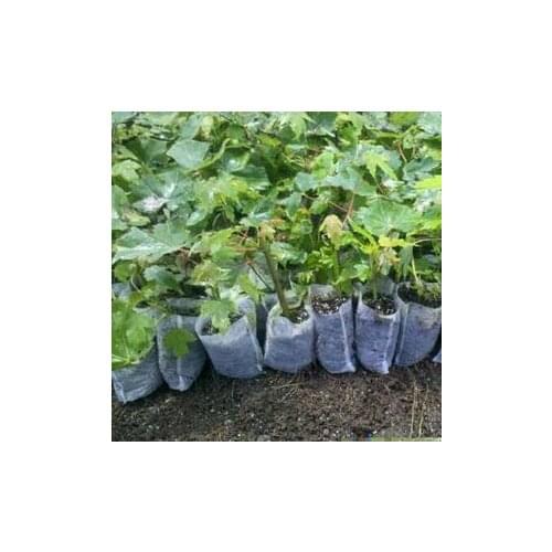Plant nursery bags for Flower/Vegetable Transplant Breeding Pots Garden Planting Nursery Plant Grow Pot Non-woven Fabrics