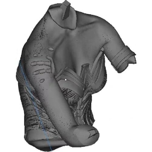 1/6 25cm 3D Printing Parts with armor