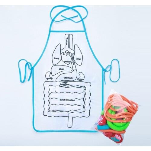 Montessori Early Education Children Three-Dimensional Simulated Organ Apron Science Physiological Education 3D Apron CLH@8