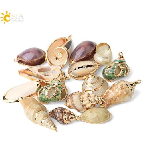 CSJA Natural Seashell Assorted Shell Conch for DIY Making Earrings Necklace Decor Crafts Cowrie Charms Jewelry Findings 2pc G446