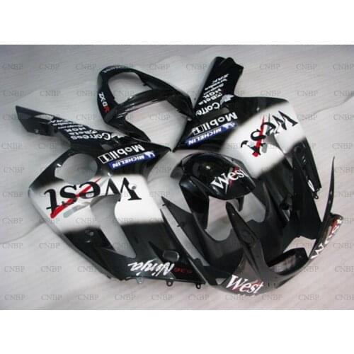 Fairing for Kawasaki Zx6r 2003 - 2004 Full Body Kits Zx6r 2004 Bodywork Zx6r 2004