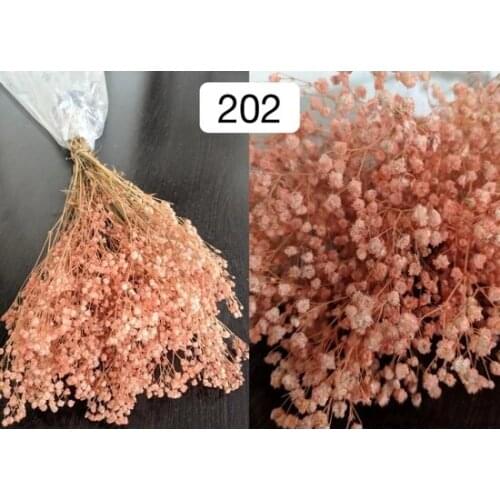 Orange Shock Cipso-Dry flower decoration artificial flower искусственный цветок