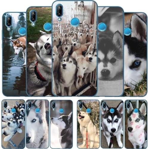 Husky Soft Silicone Phone Case For Huawei P9 P10 P20 P30 P40 LITE P20 P30 P40 PRO P smart Y6 Y7 Y9 Prime nova 3i