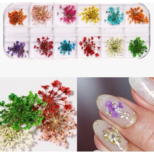 3D Dry Flowers Nail Decoration Sunflower Daisy Floral Leaf Mixed Style Nail Art Sticker Creativity Nail Art Decals Nail Art Tool