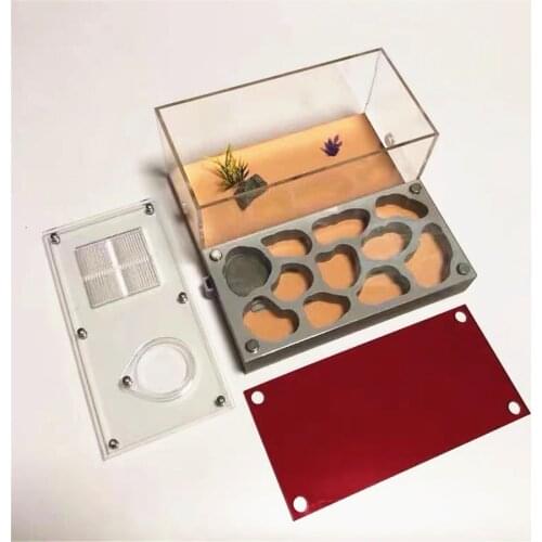 3D Acryl Flat Ant Farm Ecological Ant Nest with Feeding Area Concrete Ant House Pet Anthill Workshop Moisturizing Water Pool New