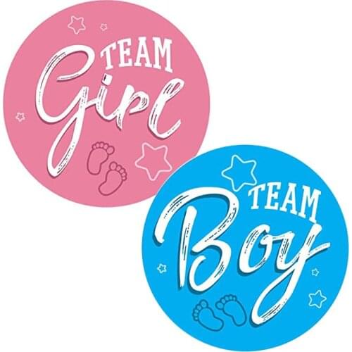 Baby Shower Party Team Boy Team Girl Stickers Gender Reveal Party Game Decoration Pink Blue Sticker