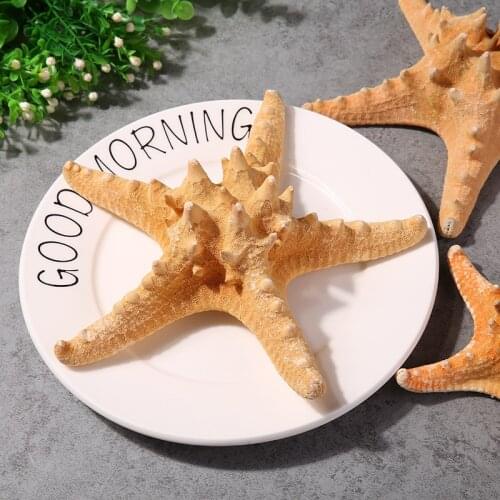 3pcs Natural mini - starfish handicraft ornaments small landscape aquarium decoration sea star fish