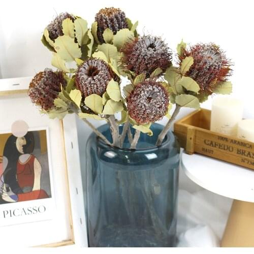 2Pcs Banksia Dried Flowers Dried Flowers Real Dry Plants for Wedding Decoration Making Craft DIY Accessories Royal Flower