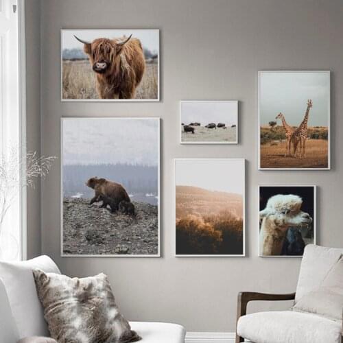 Canvas Painting Animal Photography Alpaca Yak Giraffe Grassland Living Room Decoration Painting Home Decoration Wall Poster