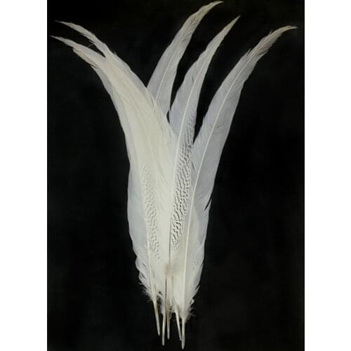 Pheasant Tail Feathers for Crafts Natural Silver Pheasant Feather Carnaval Wedding Feathers needlework accessories Decoration