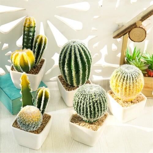 One Set Tropical Cactus Artificial Plants Home Garden Party Decoration Accessories Kaktus Bonsai Artificial Succulents Plants