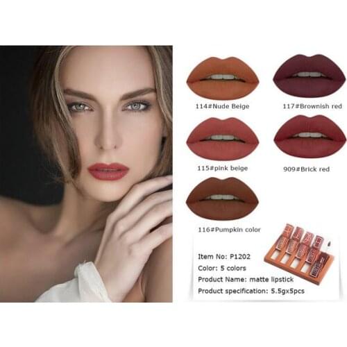 Popular 5 Color Pudaier Sexy Lipgloss Pumpkin Color Series Liquid Waterproof Long-lasting Matte Lipstick Makeup Set Nude Brown