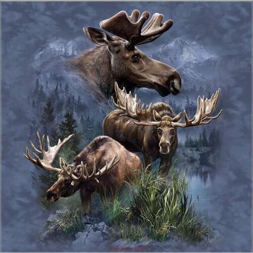 Counted Cross Stitch Kits Needlework Embroidery - Crafts 14 ct Aida DMC Color DIY Arts Handmade Home Decor - Moose Collage