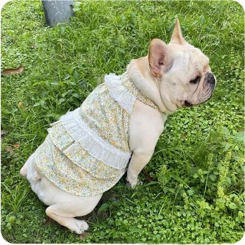 Female Dog Dress Summer Pet Clothes Schnauzer Pug French Bulldog Clothing Welsh Corgi Shiba Inu Frenchies Dog Costume Apparel