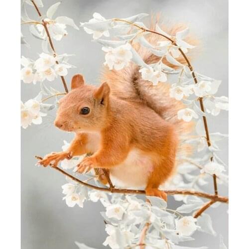 5d diamond painting squirrel flower pattern home decoration full square drill diamond mosaic handicraft 3d round diamond P32