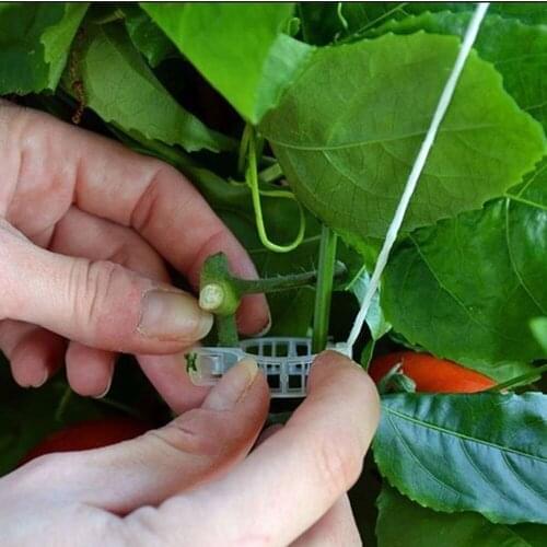 New 100Pcs Plastic Trellis Tomato Clips - Supports/Connects Plants/Vines Trellis/Twine/Cages Protection Greenhouse Vegetables