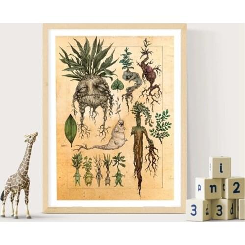 Vintage Plants Art Illustration Poster Cute Mandrake Plant Decor Canvas Painting Print Picture for Kids Room Living Room Decor