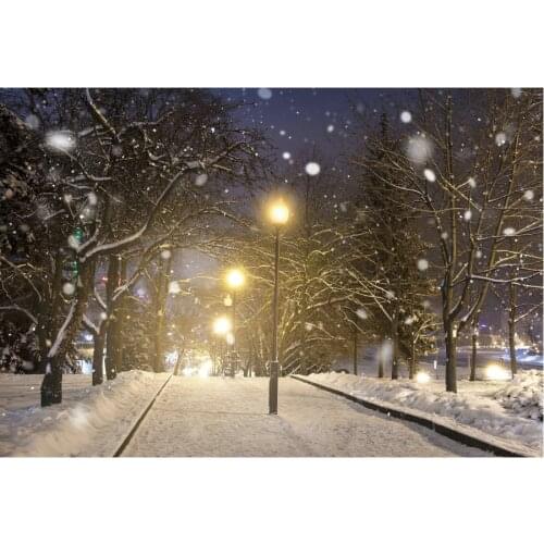Winter Street Lights Decor Backdrop Forest Snow Scene Background Newborns Photography Xmas Family Party Decoration Photo Booth
