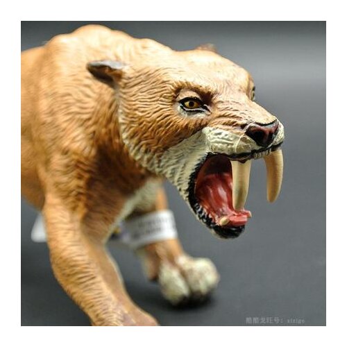 Ancient biological model ice age sabertooth tiger short sword tiger big cat resin handicraft articles decoration air home crafts