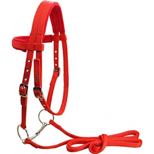 TONQUU Horse Bridles China