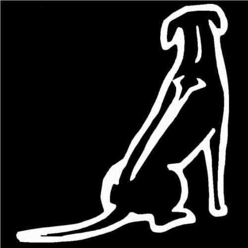 Waiting for the owners Dog Car Sticker cross country diesel vehicle motorcycle auto parts decoration ice car fun Decal PVC