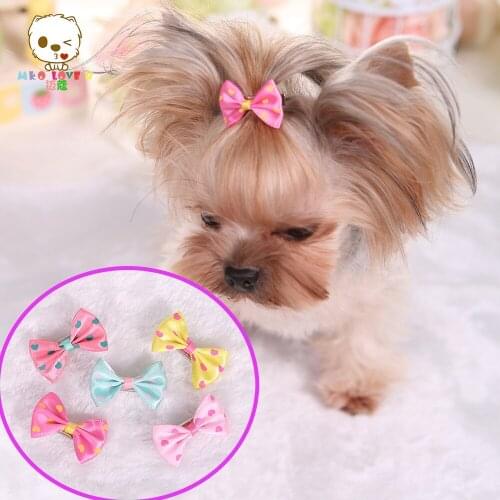 Lovely pet dog hair accessories Dog hairpin stamp Yorke Natsu Teddy flower wholesale 100pcs