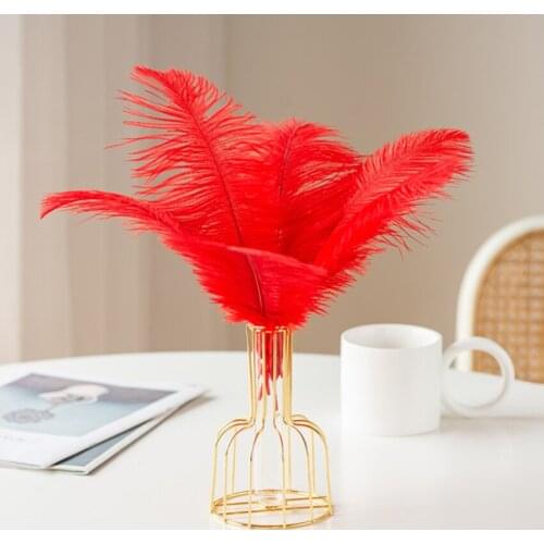 Wholesale 50pcs High Quality Red Dyed ostrich feathers Plumes 6-24 inches/15-60 cm for Party/wedding Christmas Party Decoration