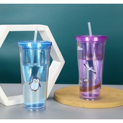 600ml Double-layer Plastic Cup Colorful Coffee Juice Straw Mug Simple Cute Straw Juice Cup Outdoor Portable Cup Wholesale