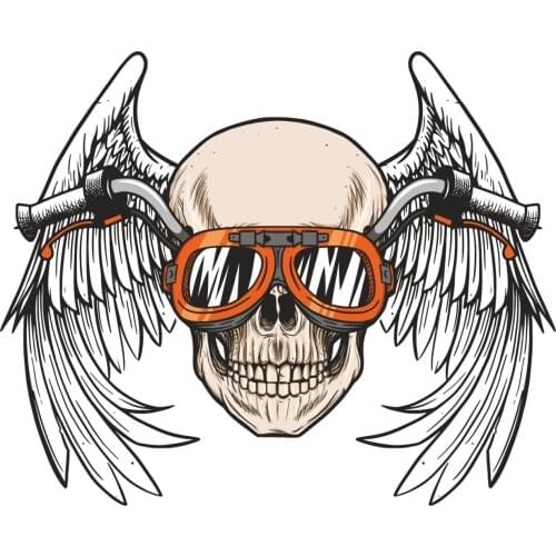 The grim Reaper Sticker Plane Extreme