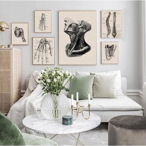 Anatomy skeleton Patent Vintage Poster Wall Art Print Canvas Painting Nordic Posters And Prints Wall Pictures For Living Room