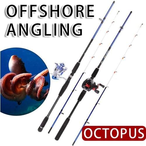 Casting Spinning Rod Pole Pen Shape Folded Fishing Rod with Reel Wheel Fishing Gear Offshore Angling Carp Octopus Squid Tackle
